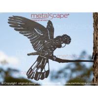 Black Cockatoo landing on tree mount spike